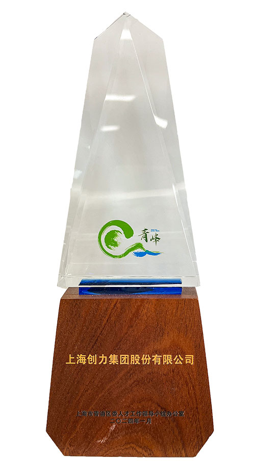 喜報(bào)！上海創(chuàng)力集團(tuán)榮獲2023年度青浦區(qū)百?gòu)?qiáng)優(yōu)秀企業(yè)等三項(xiàng)大獎(jiǎng)(圖3)